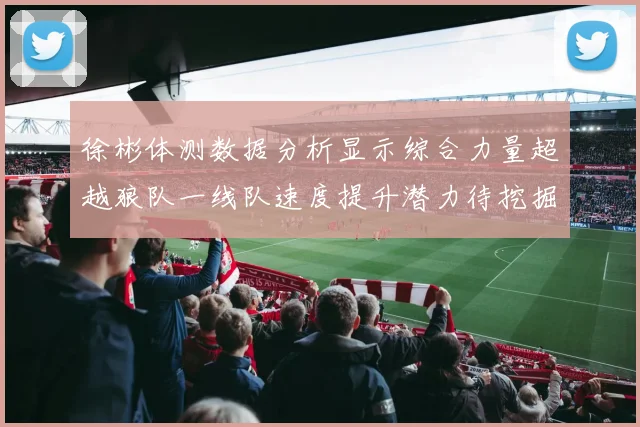 徐彬体测数据分析显示综合力量超越狼队一线队速度提升潜力待挖掘