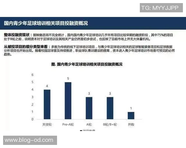 马德兴解析越南足球崛起背后的举国体制与全国一盘棋策略
